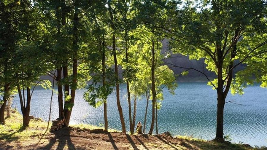 Vanzare teren pentru vila la Lac, Vale Doftanei - 3