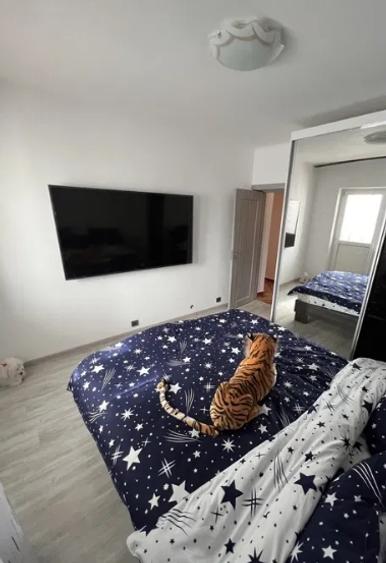 Pantelimon,bl.reabilitat,1980,1/2,2 bai, balcon inchis,mobilat,utilat. - 4