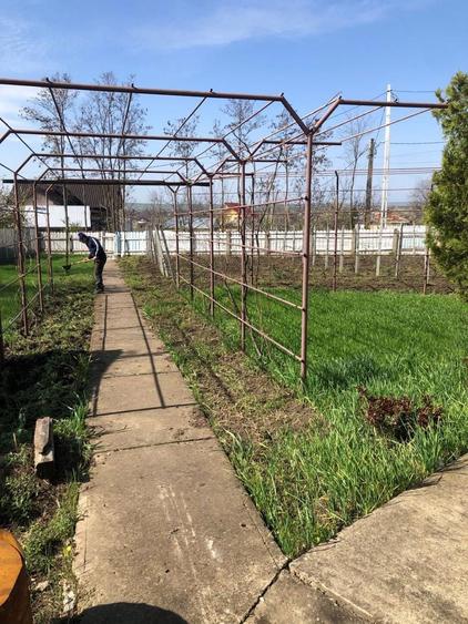 Vand teren intravilan 2000mp belcesti cu utilitati si acte la zi - 2