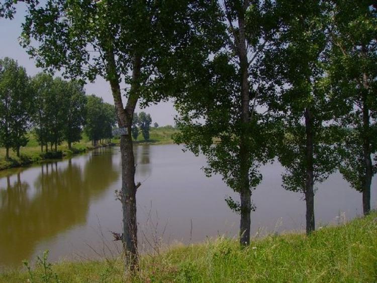 Teren de Vânzare 7.829 m² pe autostrada București – Pitești A1, Corbii Mari d= 44.65 m - 1