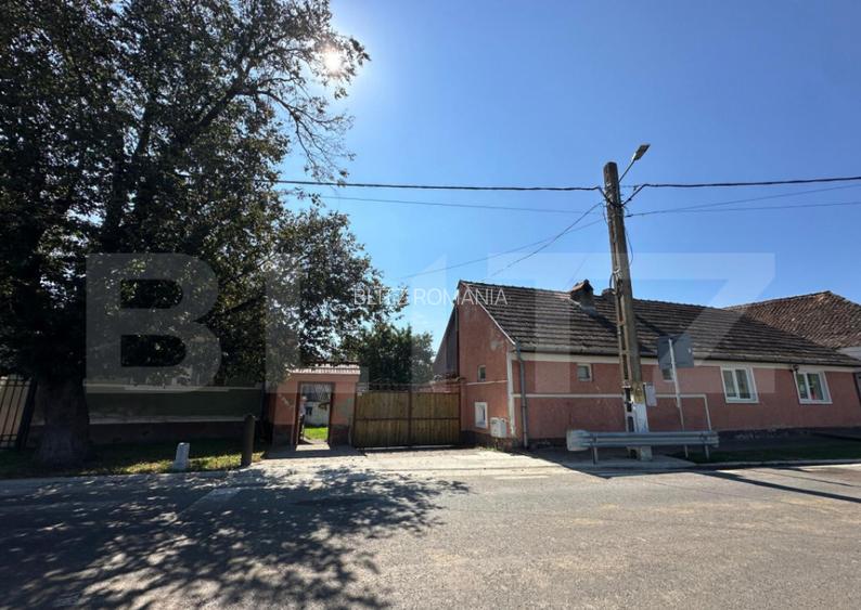 Casa saseasca de vanzare, curte, gradina, teren 3000 mp - Ji