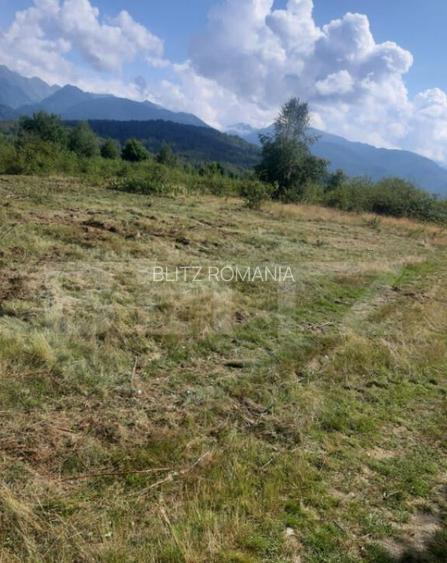 Teren extravilan 3500 mp, Sibiu, loc. Car?i?oara