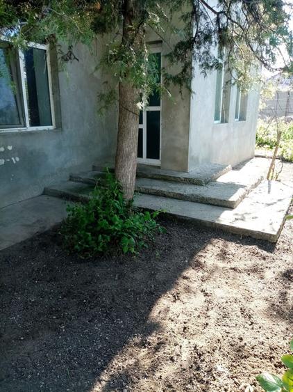 Casa de vanzare schimb Corabia , langa Dunare - 7