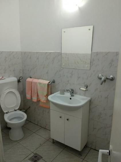 Spatiu Comercial 100 mp Triaj - 4