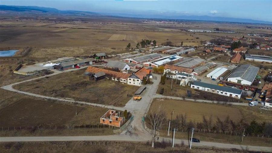 Ansamblu agrozootehnic cu renume,dotat +valoare exceptionala+potential versatil, - 43