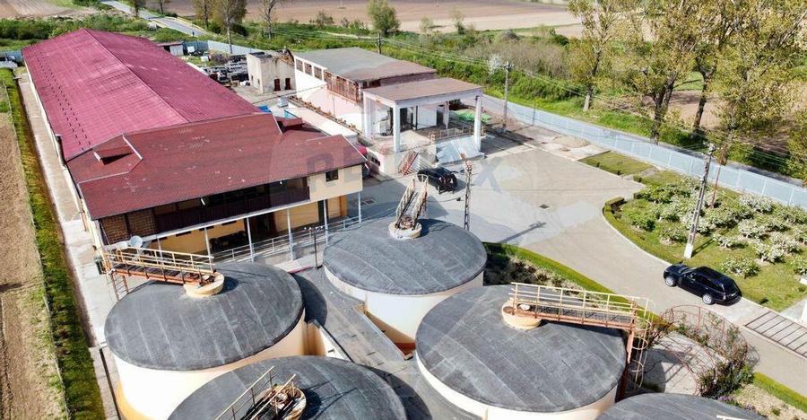 Crama din Buciumeni Afacere la cheie - 6