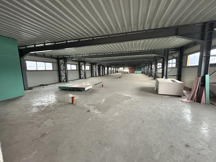 Hala de vanzare 1800mp in Baciu zona Prodvinalco P+2 - 13