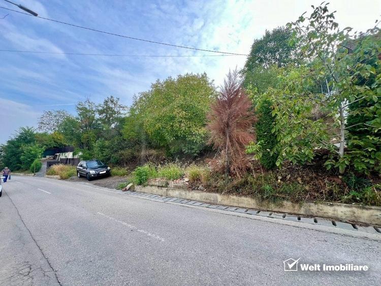 Oportunitate investitie, teren 5800 MP/32 ML, Dezmir - 1