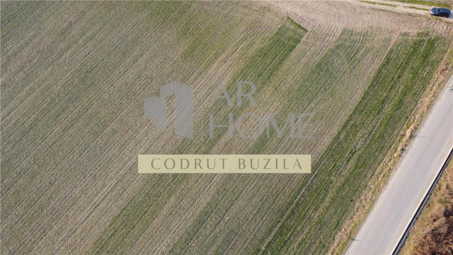 Teren intravilan 2500mp, Bucov - 4