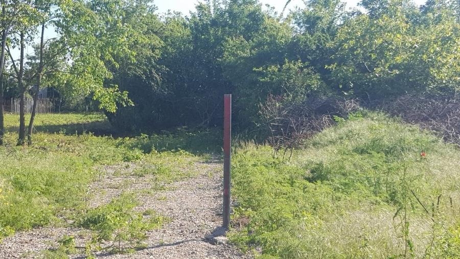 Ciolpani- Drumul Piscului patru loturi teren de la 896 mp pana la 977 mp - 5