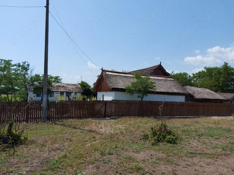 Delta Dunarii, Romania, localitatea LETEA, proprietate de VIS, - 7