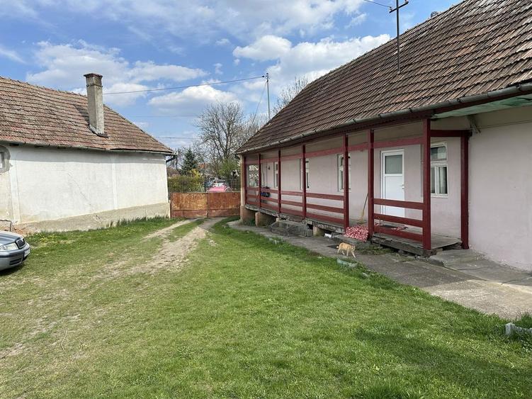 Vand casa cu gradina - 1