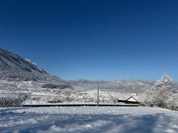 Teren intravilan 500 sau 1000 mp Bran-Tohanita la dum asfaltat - 18