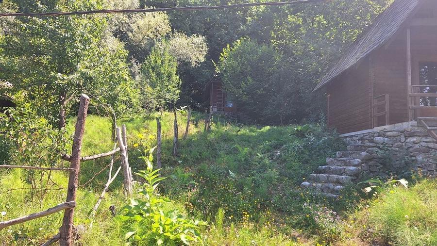 VANZARE ANSAMBLU CASUTE BRADULET ARGES - 18