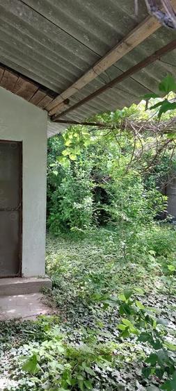 Casa si teren Murighiol - 1