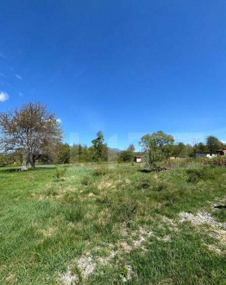 Teren de 30 ari de vanzare in Bistri?a Bargaului zo - 3