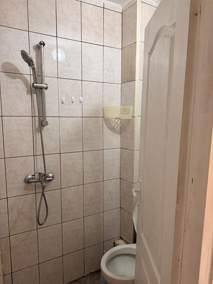 Proprietar inchiriez apartament cu o camera blascovici - 2