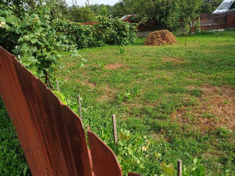 Vand doua case Stalpeni, Arges + teren arabil, 400mp + 4375mp, livada - 7