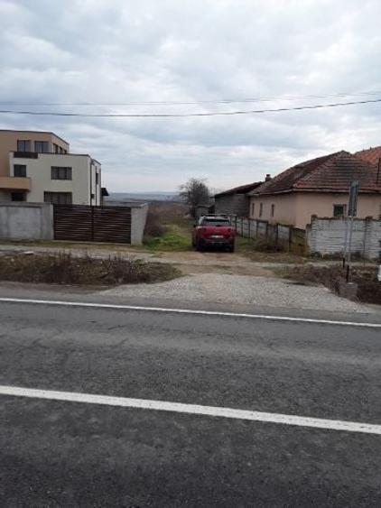 Teren intravilan de 1000 mp, în Țânțăreni - 6