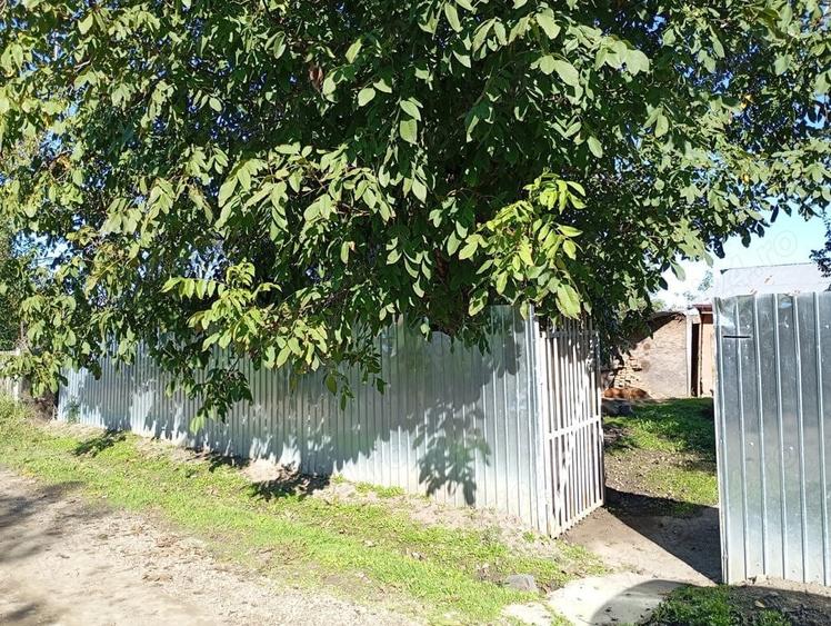 Casa cu teren de 2000 m - 7