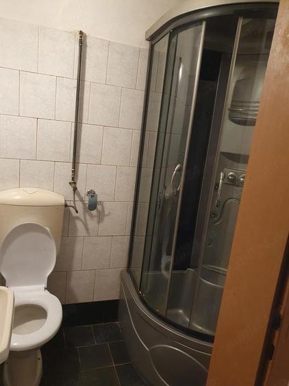 Casa cu etaj de inchiriat, in Timisoara, zona Fratelia, la 4,3 km de centru - 7