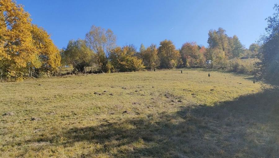 Teren zona Bran Tohanita! - 7