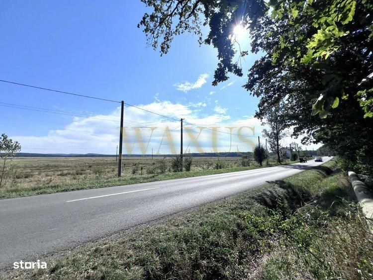 Oportunitate , 3800 mp ! Teren la 10 minute de Centru - 2