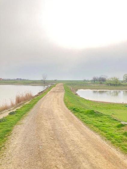 Teren de 595 mp, în Berceni