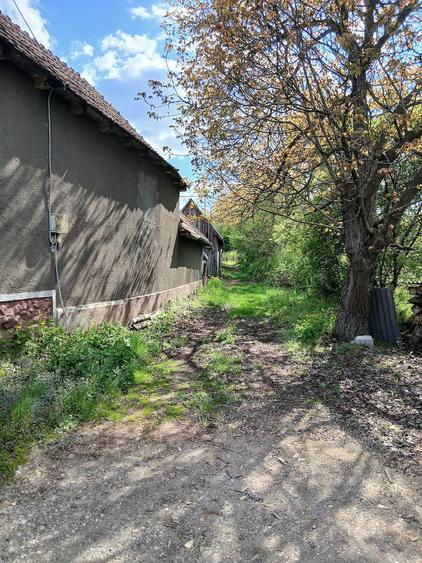Casa de vanzare Birtin, Bihor - 3
