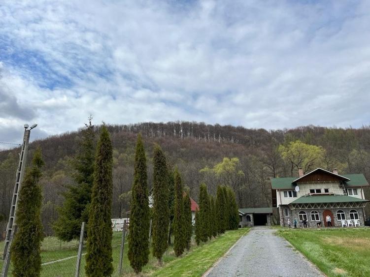 Cabana P+E la CAMPU CETATII cu teren imprejmuit de 2900 mp - 1