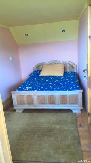 Cabana zona Botesti - 3