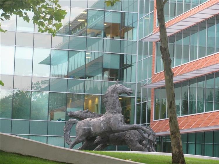 Inchiriere Birouri - Bucharest Business Park de la 233 mp - 12