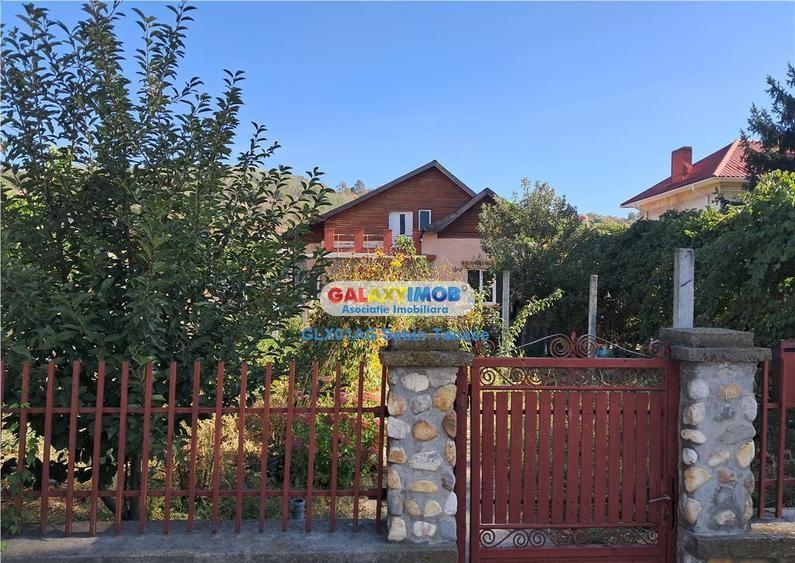 De casa Stefanesti cetate ....curte amenajata teren 100 - 1