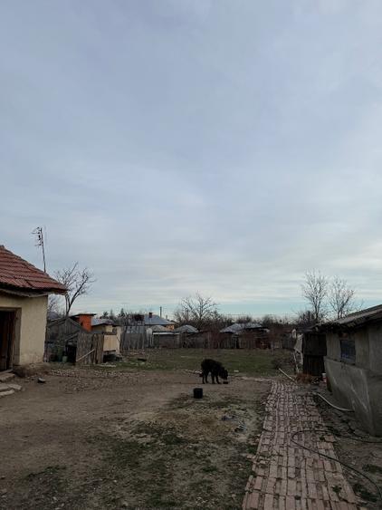 Casa de vanzare in comuna balta alba ,buzau - 8