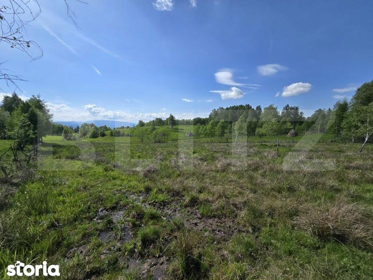 Teren extravilan 13103 mp in Dealu Mare! Oportunitate investitie! - 2