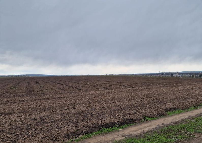 Teren 10,000mp Bacau / Strada Alexandru Safran - 11