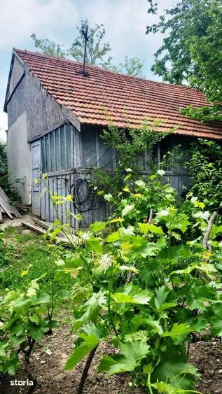 Casa in zona de deal la Zarnesti, la 20 km de Buzau, teren 1535 mp - 2