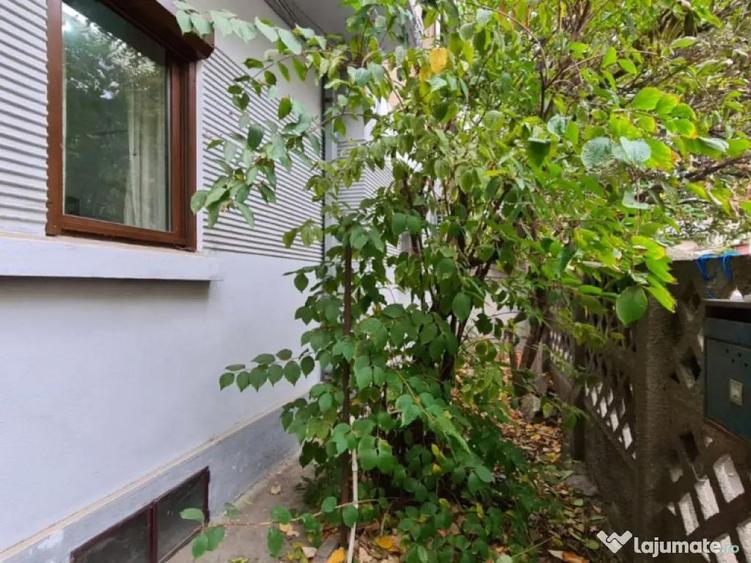 Vila parcul Tineretului- Sincai metrou-pentru 2 familii - 8