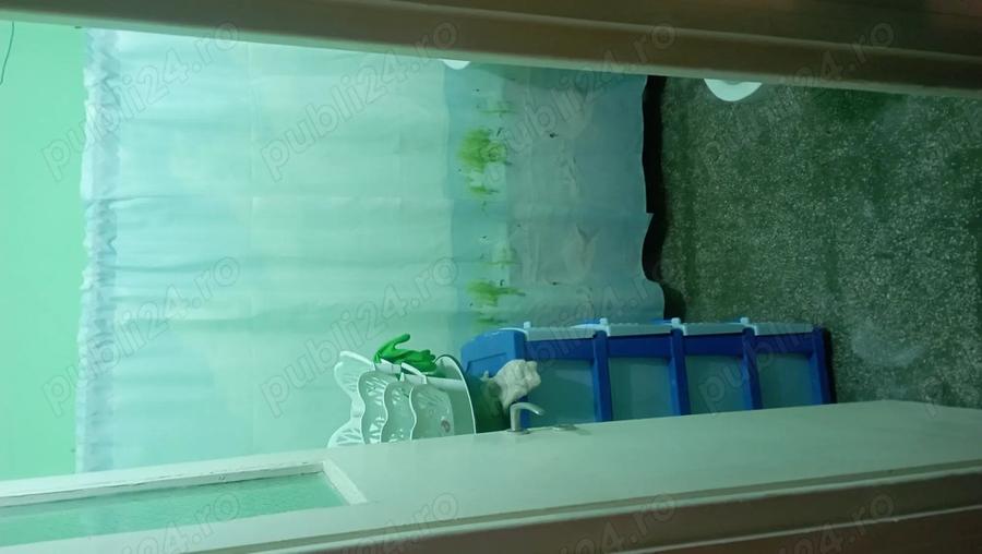 Apartament doua camere - 1