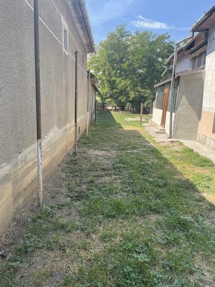Casă cu 3 camere în Central