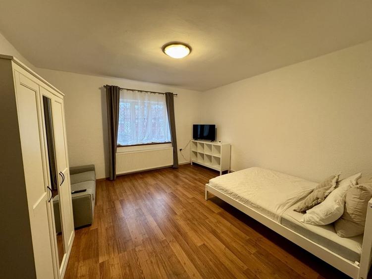 Studio pet friendly, 42mp la casa in Astra, str Baba Novac - 1
