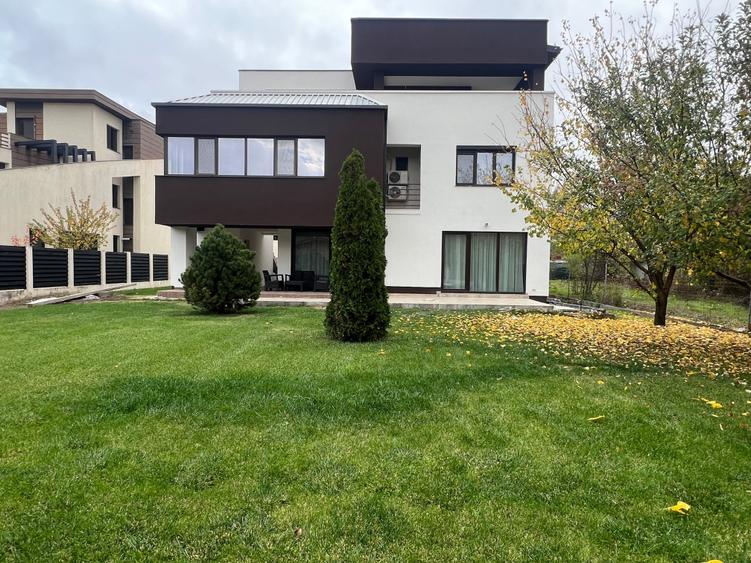 Dimitrie Leonida Metrou - 1