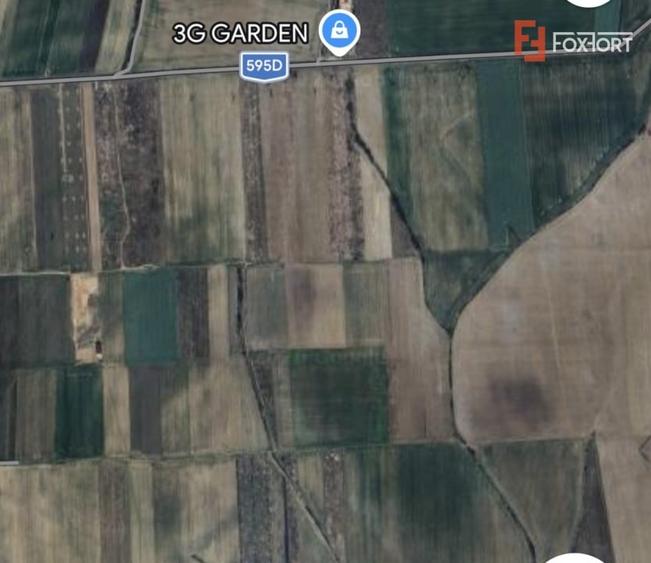 Teren extravilan de 6300 mp - Mosnita Veche - 1