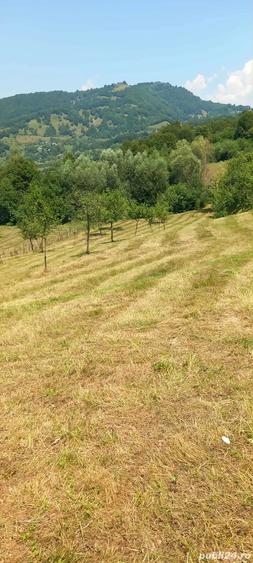 Casa locuibila + teren 8900 mp, utilita?i, anexa, livada-toate actele. - 3