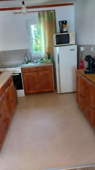 Casa de vacanta Surduc - 2