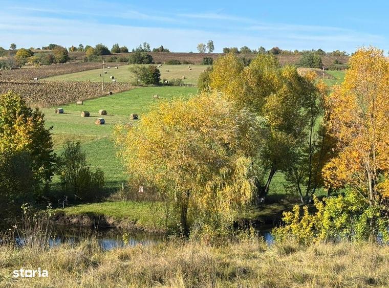 Teren de vanzare - Agapia, Neamt - 5