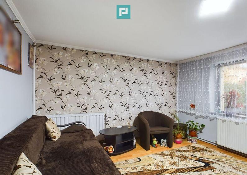 Casa individuala Sagului ( Shopping City ) - 7