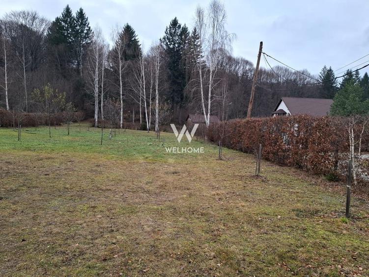 Teren deosebit pozitionat, cu livada, langa padure,  pe Valea Avrigului - 2