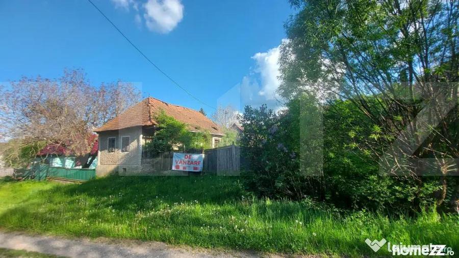 Teren intravilan 4905 mp I Livada I Casa demolabila I Magher - 3