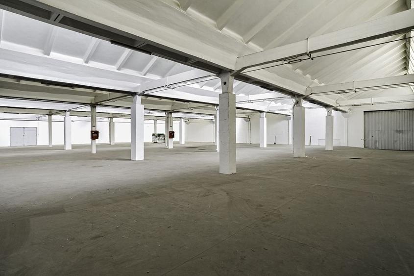 Hala Industriala de inchiriat 1.174 mp cu rampa egalizatoare, Arad - 9